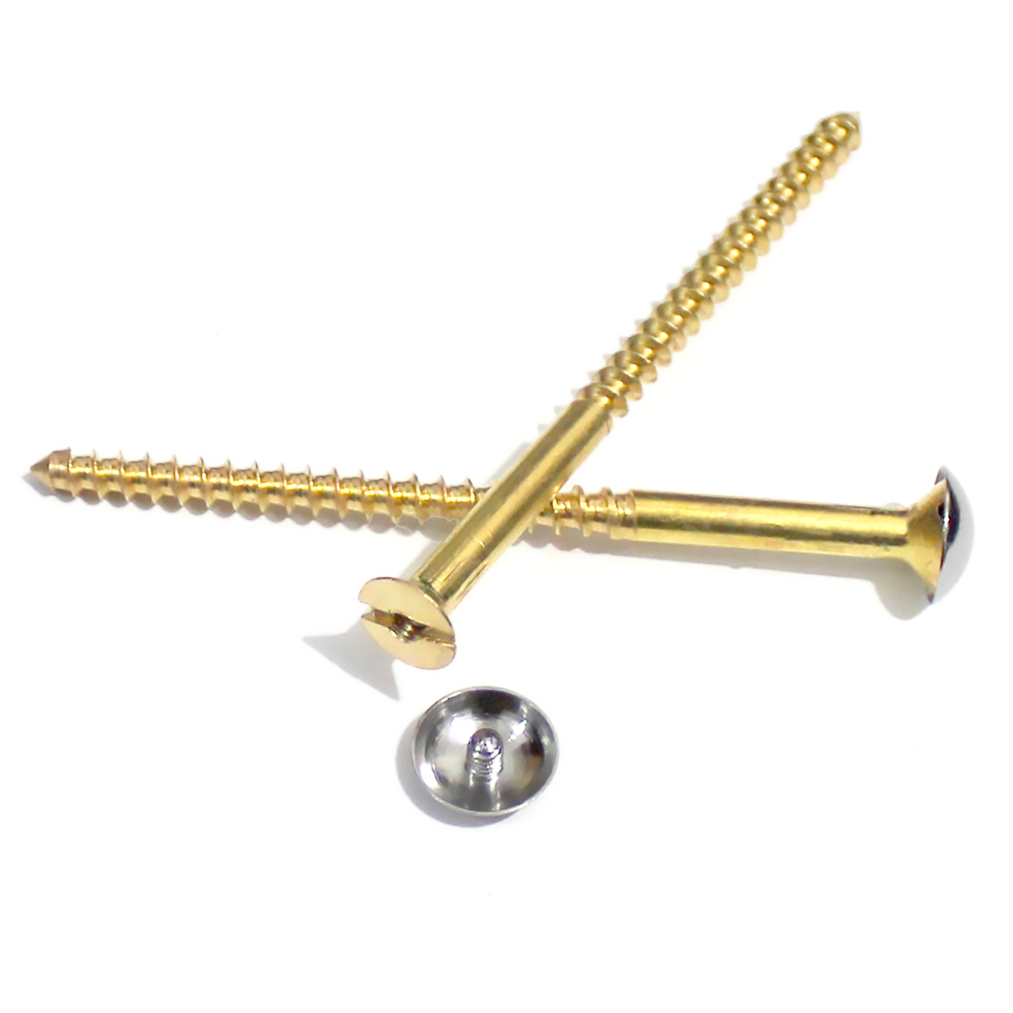 RiseOm Mirror Screw made of Brass Cap Nails/Decorative Mirror Nails