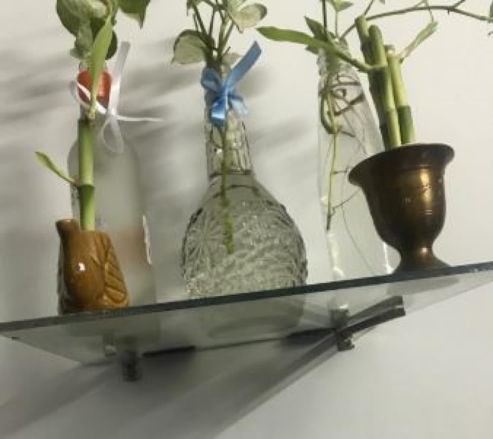 RiseOm F Type Steel Shelf Bracket (Adjustable) / Supports 6,8,10,12 mm of Glass Thickness