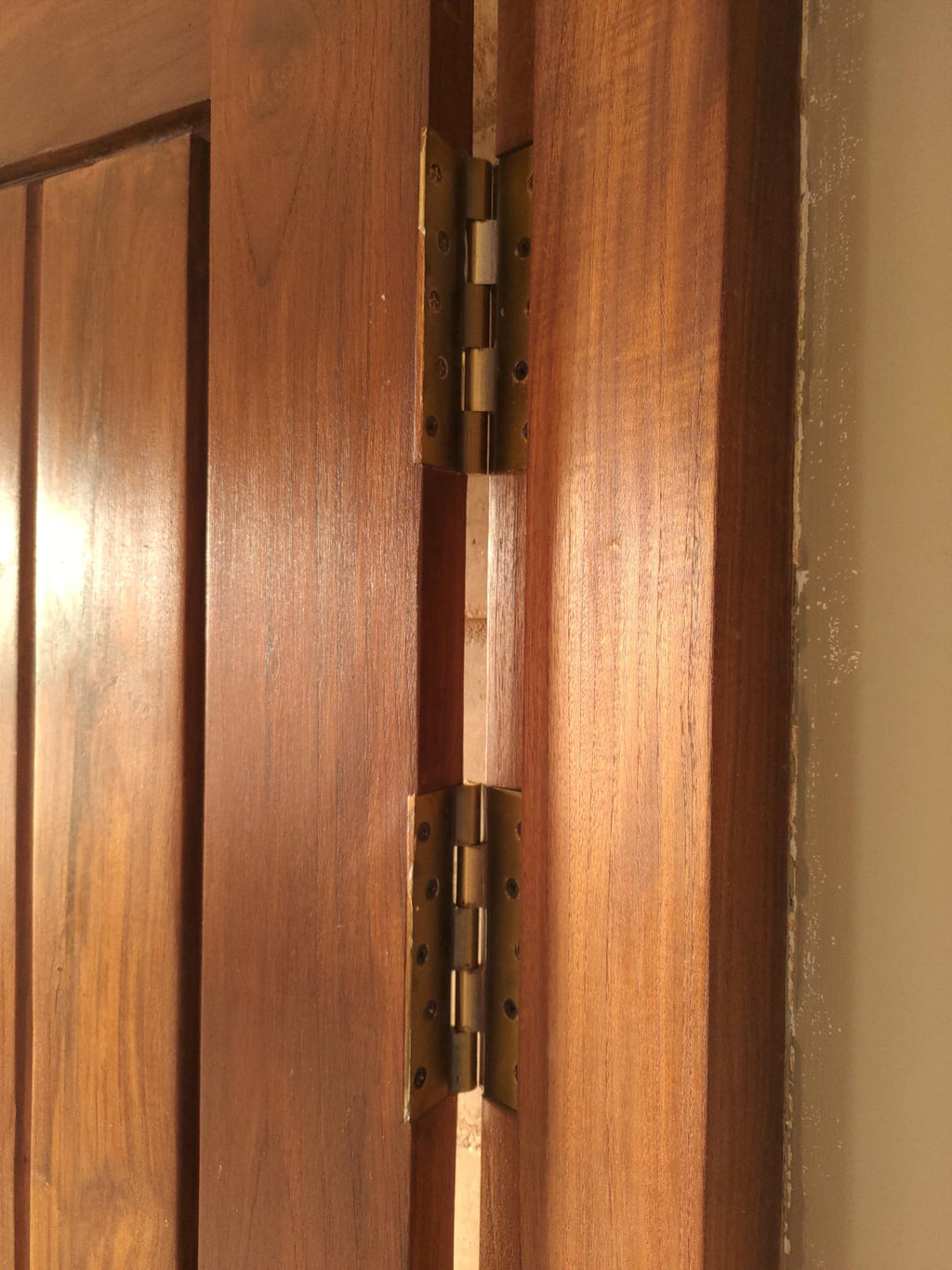 RiseOm Brass Railway Washer Hinges Used in Main Doors