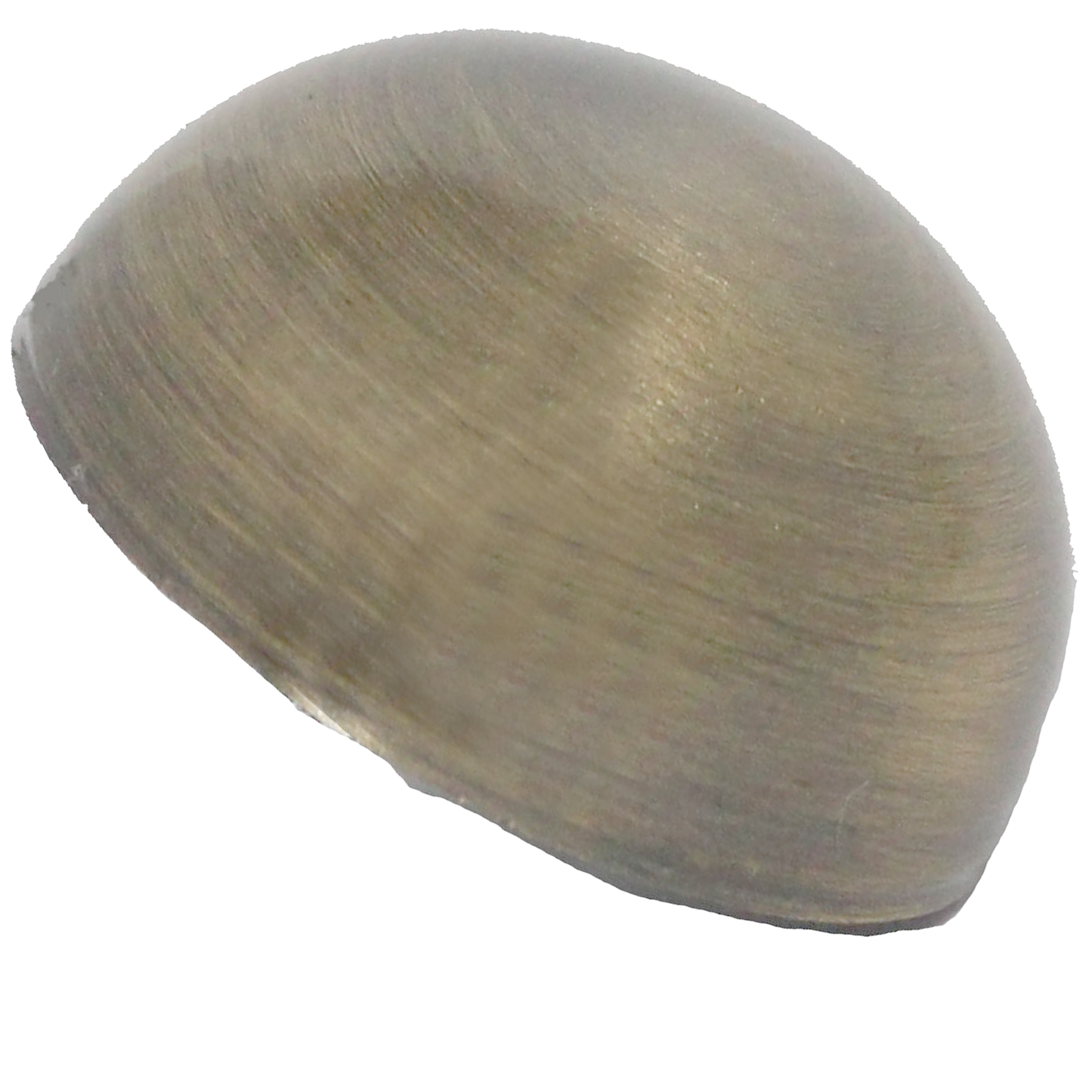 RiseOm Half Round Dome Cap made of brass 30mm diameter
