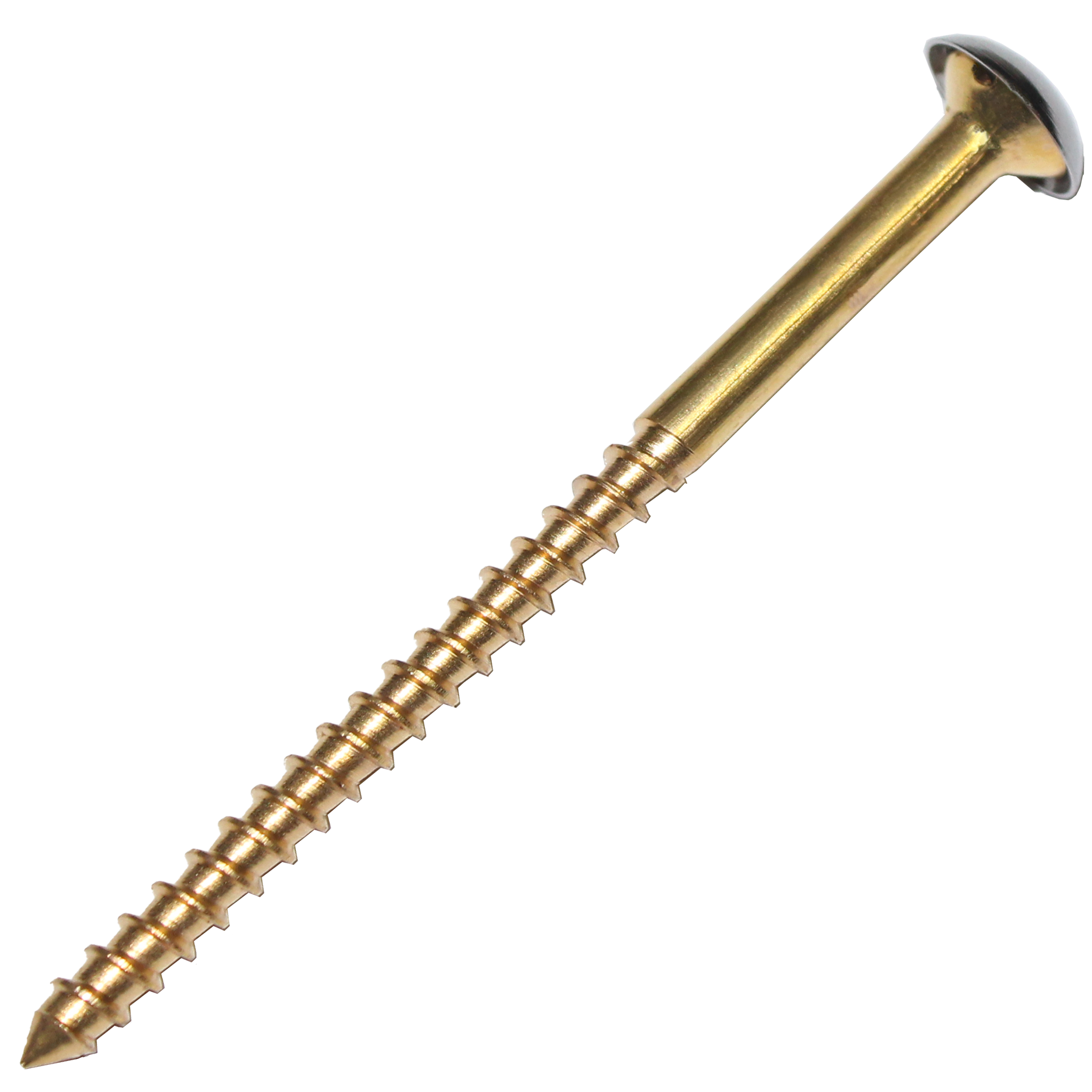 RiseOm Mirror Screw made of Brass Cap Nails/Decorative Mirror Nails