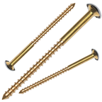 RiseOm Mirror Screw made of Brass Cap Nails/Decorative Mirror Nails
