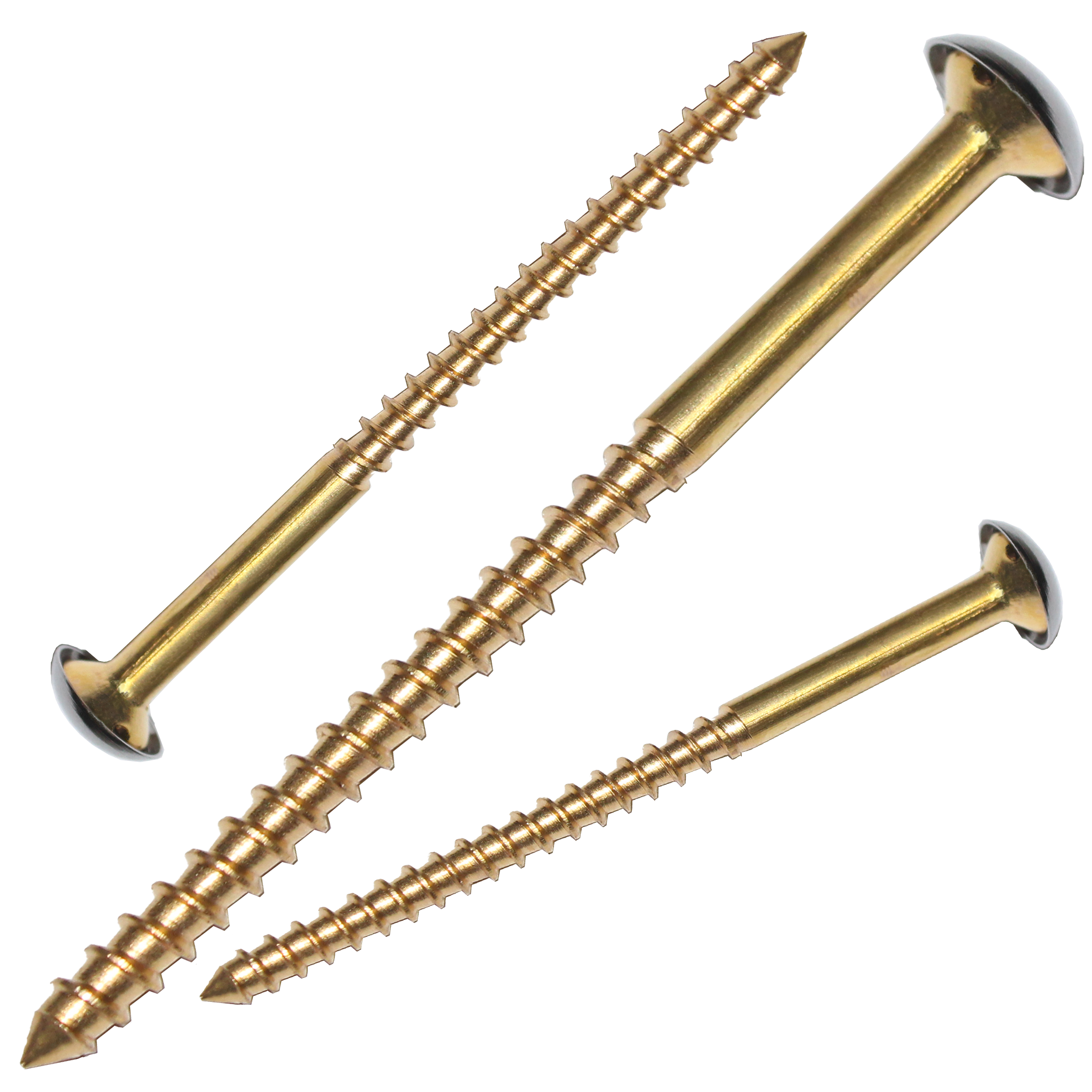 RiseOm Mirror Screw made of Brass Cap Nails/Decorative Mirror Nails