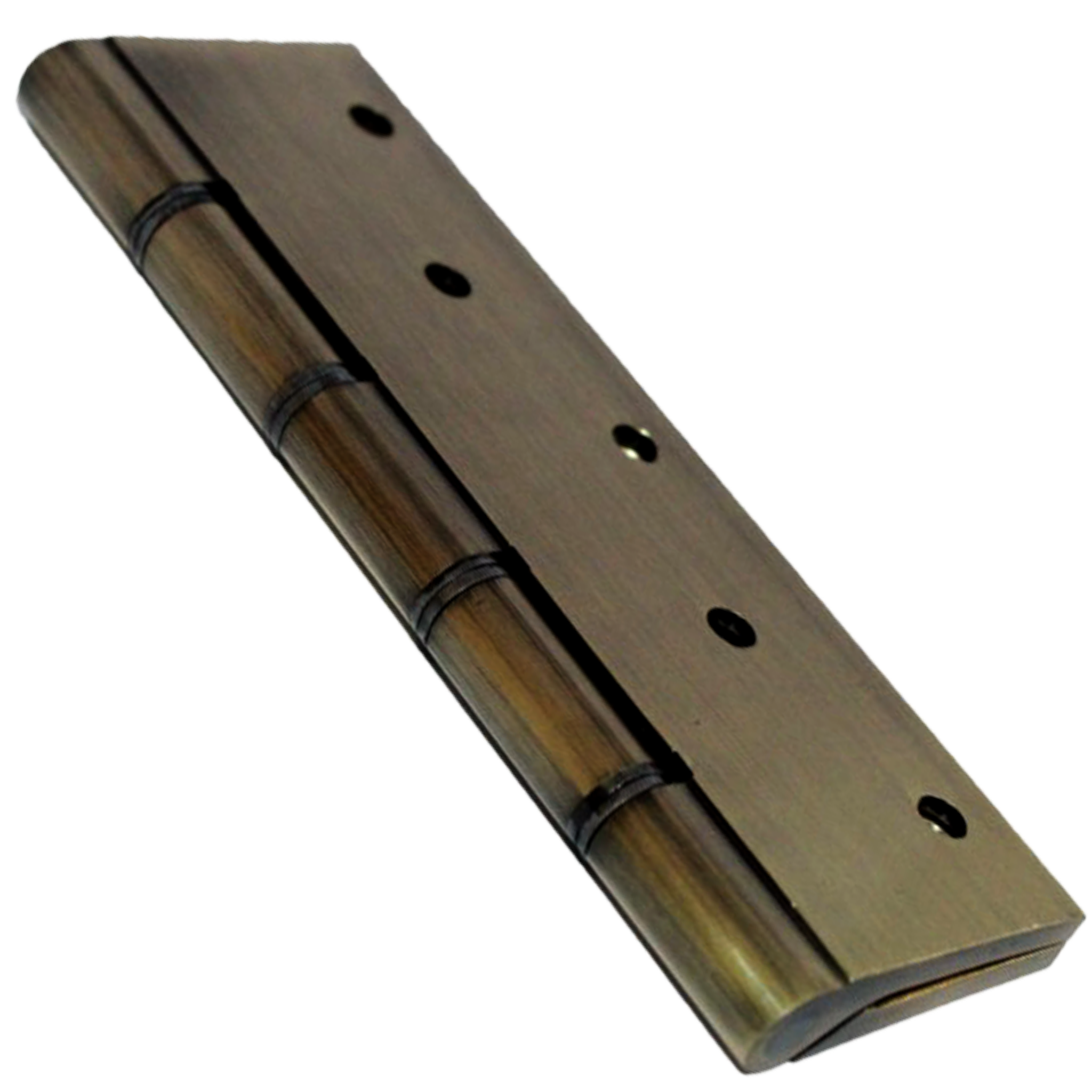 RiseOm Brass Railway Washer Hinges