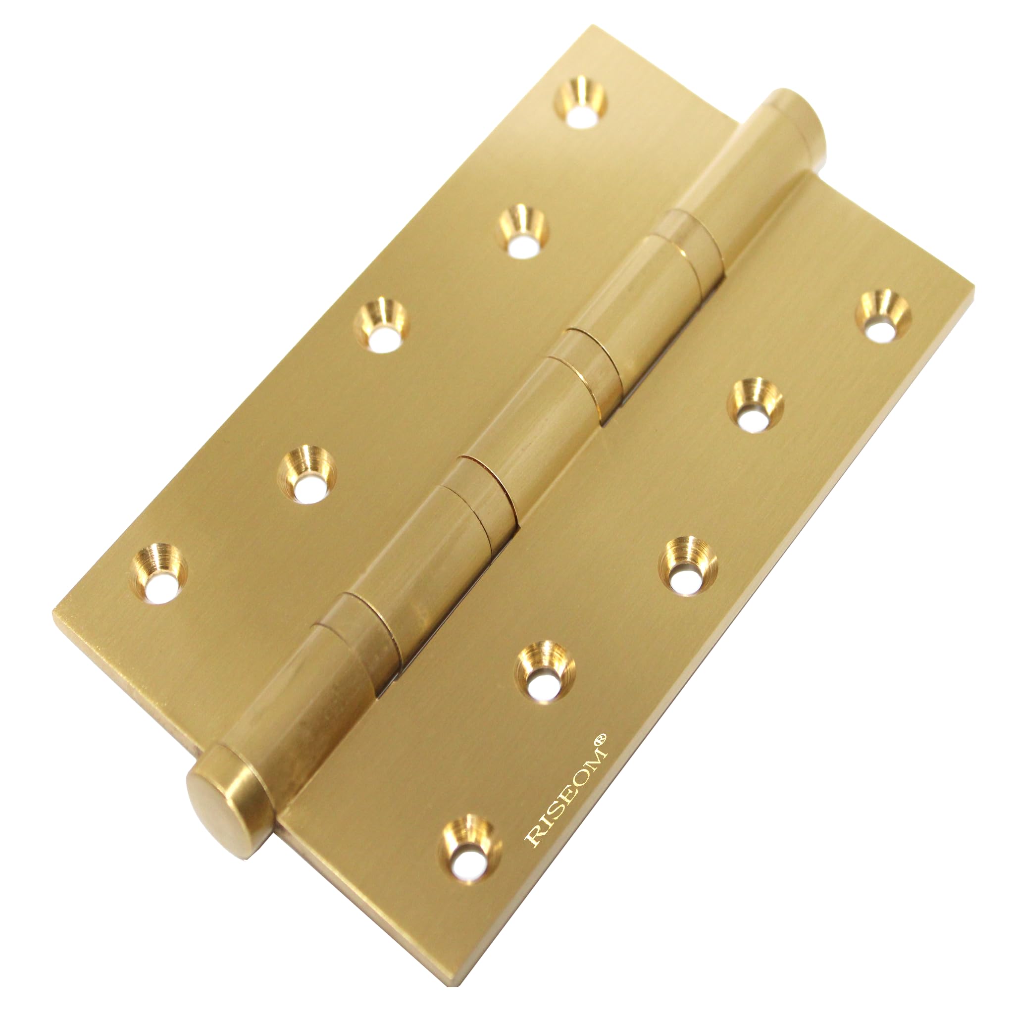 RiseOm Brass Ball Bearing Hinges used in main doors